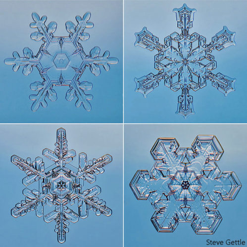 How to Photograph Snowflakes - Steve Gettle Nature Photography