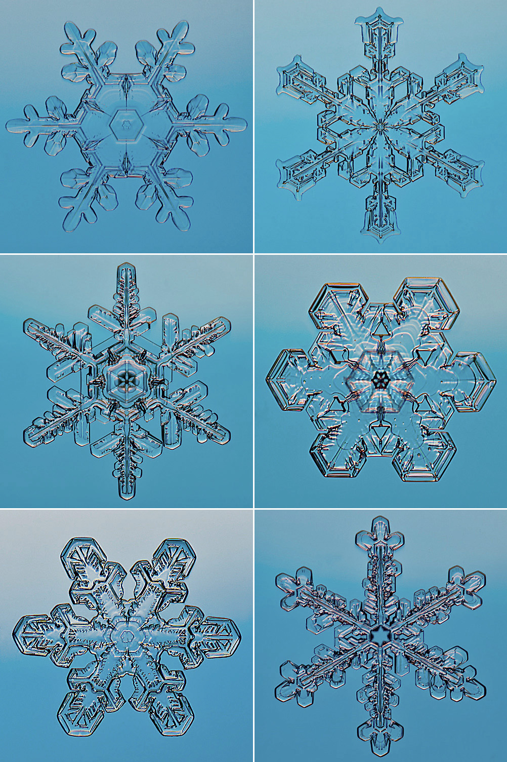 MORE SNOWFLAKE IMAGES - Steve Gettle Nature Photography